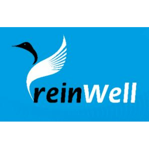 11861 ReinWell Моторное масло ADVANS 8600 0W-30 (1л) - 1 л